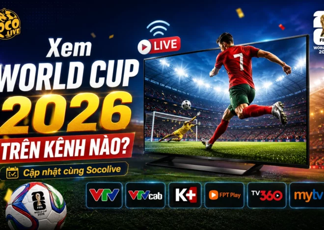 Xem World Cup 2026 trên kênh nào để không bỏ lỡ ngày hội bóng đá lớn nhất hành tinh?